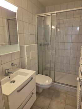 Sierre - Lumineux appartement